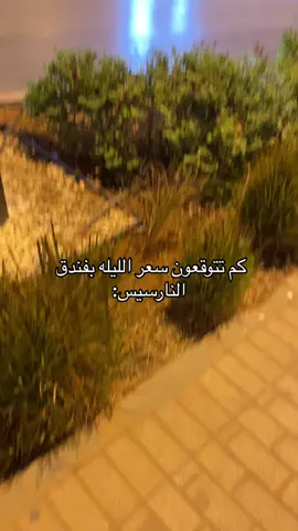 #fypシ゚viral #النارسيس_الرياض_اكسبلور #المملكة_العربية_السعودية اكسبلورر #