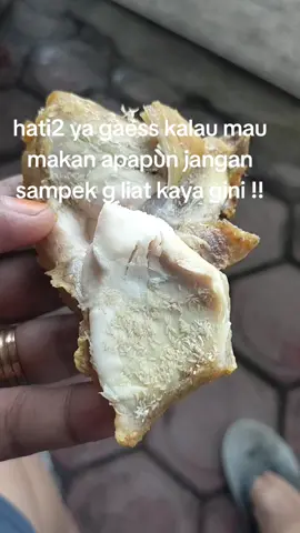 #jijiksumpah 