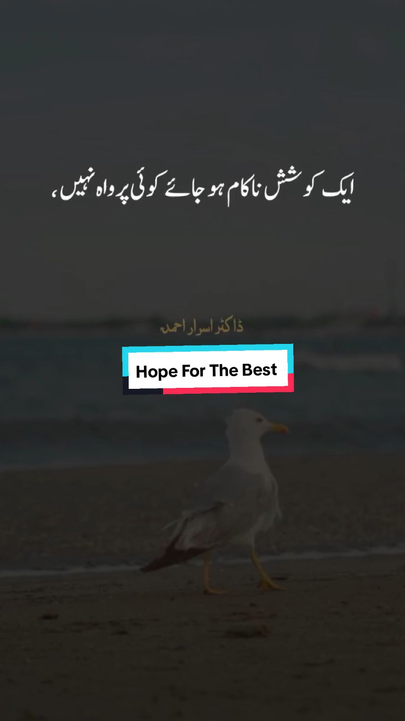 Ak Koshish Nakaam Ho Jayee - Hope For The Best | Motivation By Dr Israr Ahmad #saw #muslimpixel #islamic_video #motivation #motivation_by_Dr_israr_Ahmad #muslimtiktok #Allah #muslimpixel #hopeforthebest♥️ 