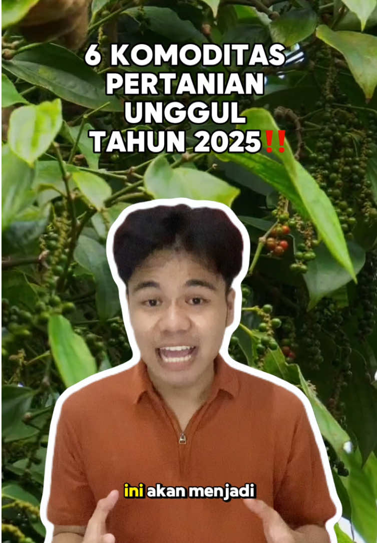 Ini dia 6 Komoditas Unggulan di Tahun 2025‼️😱 #komoditasunggulan #masukberanda #pertanian #infopertanian #farmers #agriculture #AyoBelajarBertani #fyp #petanimilenial #kakao #kopi #cengkeh #sawit #petanimuda #bertaniacademy #edufarmers 