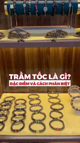 Trầm tốc là gì? Đặc điểm và cách phân biệt các loại trầm tốc tại Mộc Trầm Hương #LearnOnTikTok #moctramhuong #moctramhuongtanbinh #trầm_hương_Tân_Bình #36giaiphongtanbinh #agarwood #vongtaytramhuong 