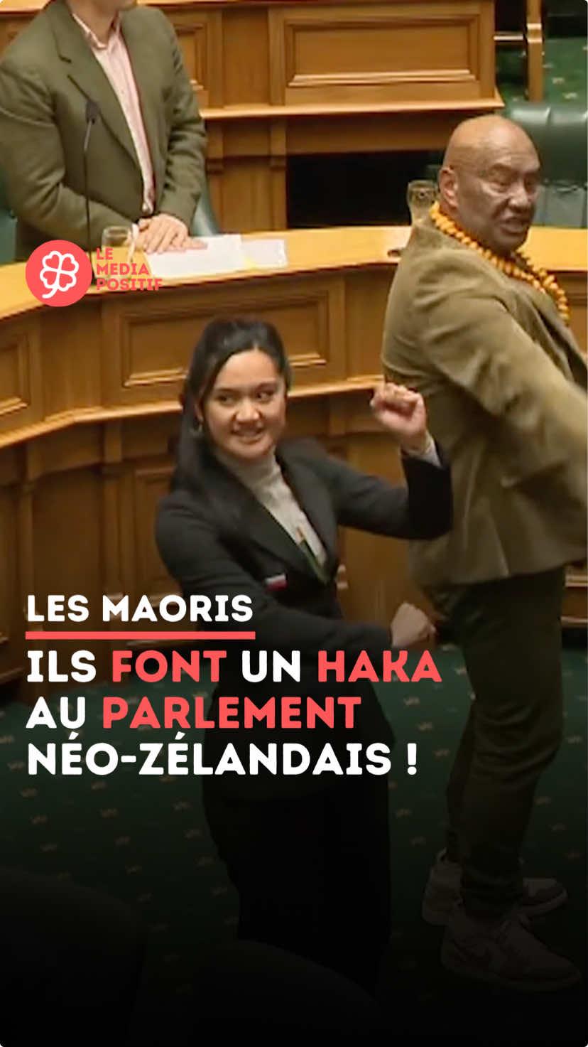 🇳🇿 En Nouvelle-Zélande, des députés maoris ont exécuté un haka au Parlement pour protester contre une loi qui menace les droits des peuples indigènes ! Cette danse traditionnelle maorie rend hommage à la défense des droits des communautés natives de la Nouvelle-Zélande ! 👏🍀 🎥 @Whakaata Māori  Abonne-toi pour ➕ d’actualités inspirantes ! 🍀