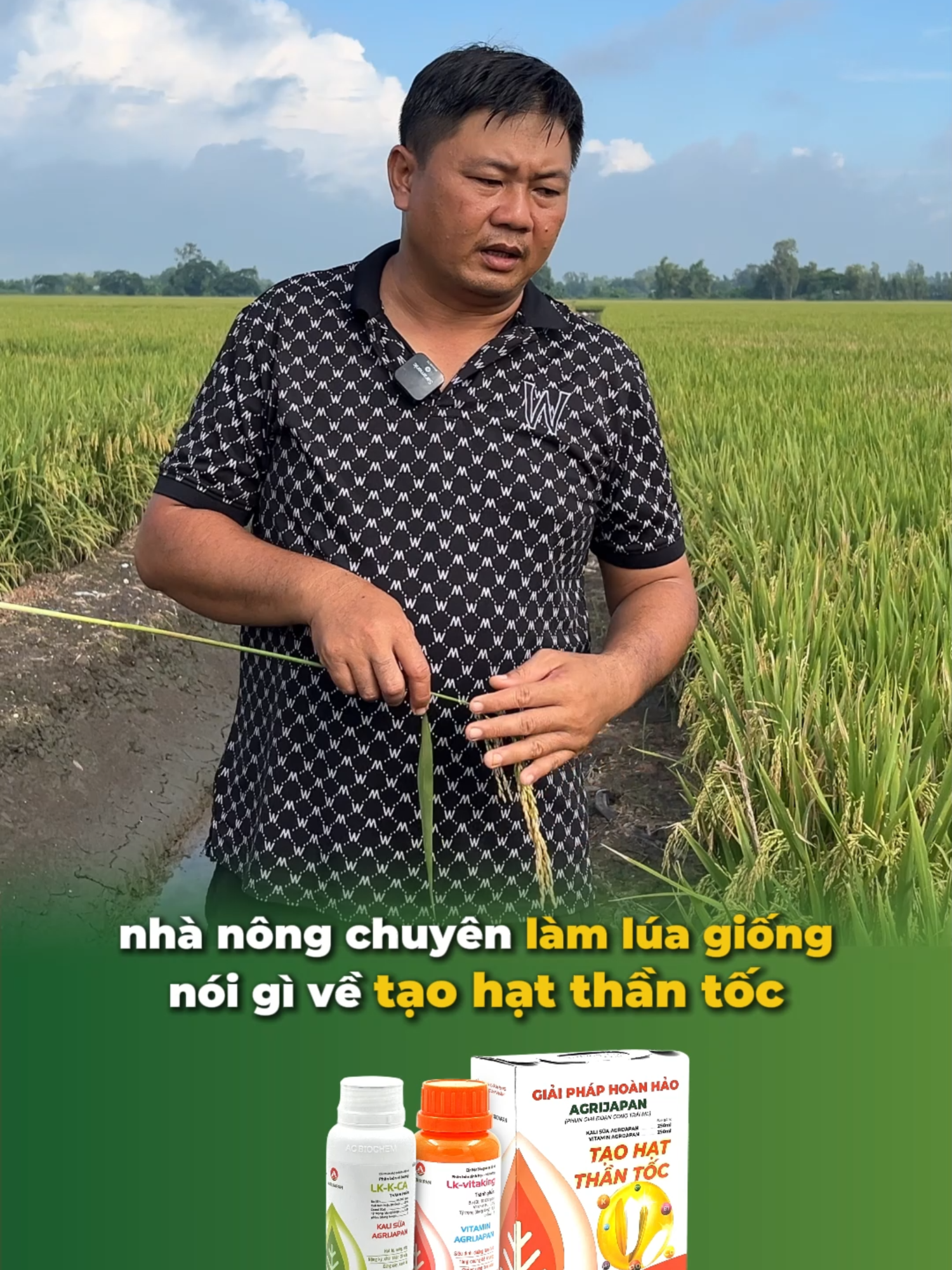 nhà nông chuyên làm lúa giống nói về tạo hạt thần tốc #chiase #nongnghiep #nondan #vtnn #agrijapan #taohatthantoc