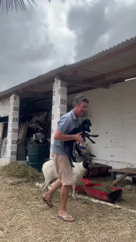 Qual o nome das filha de Chico