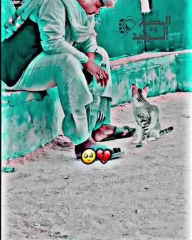 #ولايه_نهر_النيل_شنديناا💞💞💞 #ود دوبا#المتمه_غرب_شندي #حجروهو #الجعليين #الشعب_الصيني_ماله_حل😂😂 #الدعم_في_ذمه_الله😭 #شنديناااا💞💞💞💞💞💞💞💞💞 #ابو_القاسم_ود_دوبا 