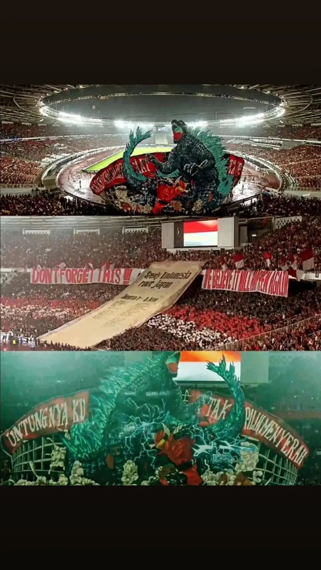 #timnasindonesia #lagrandeindonesia #ultrasgaruda #timnasgaruda #foryoupage #erickthohir #bismillahfyp 