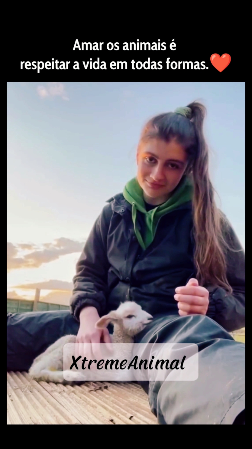 Ah os animais... 🥰 #animais #emocionante  #animaisfofos #vegan  #amoosanimais #animalsoftiktok  #fypp #viral_video 