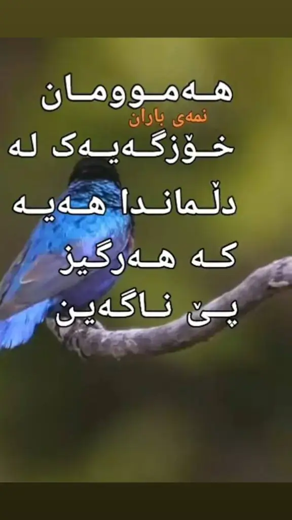 #ئەکتیڤبن🥀🖤😌ـہہـ٨ــہ #هەریر_مەسیف_کۆڕێ_خەلیفان #هەوڵیر_کەرکوک_سڵیمانی_دهۆک_ 