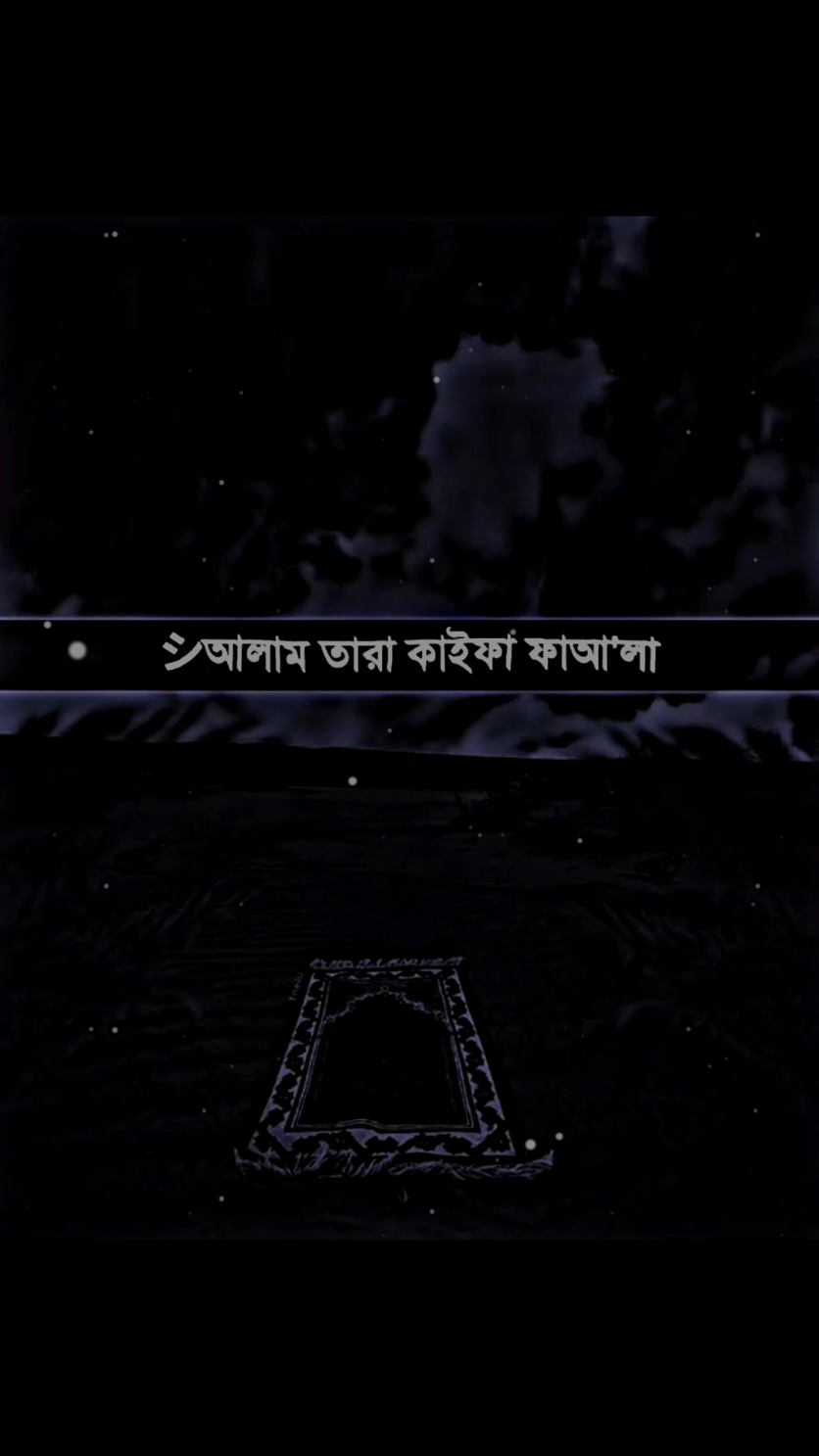 #সূরা_আল_ফীল #কুরআন_তেলাওয়াত #ভালো_লাগলে_সবাই_লাইক_কমেন্ট_শিয়ার_ #foryou #fypシ #tiktok #PepsiKickOffShow #foryoupageofficially #trending #حلاوة_اللقاء #viral 