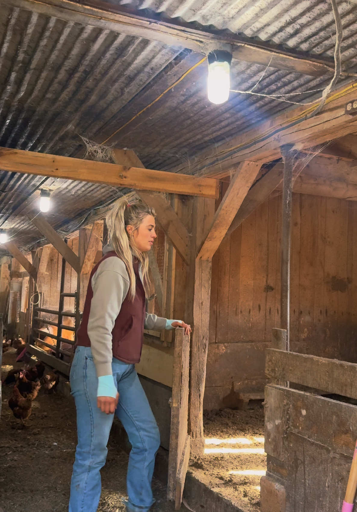 And the last of the piglets are set and ready to go! #pig #farmersdaughter #maine #fyp #farmlife #pigsoftiktok #fitcheck #case #ih #sawdust #clean 