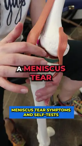 Meniscus Tear Symptoms and Self-Tests #bobandbrad #meniscustear #physicaltherapy #healthandwellness #painmanagement