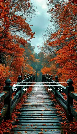 Tengo un corazón Mutilado de esperanza y de razón ♥️♥️🎶 #musica #letras #canciones #bonitas #parati #inolvidables🍷🎶 