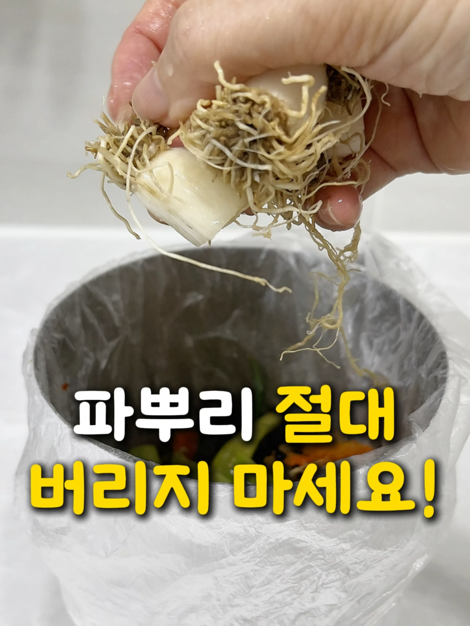 파뿌리 이제 절대 버리지 마세요!⬇️ 이건 무조건 공유 저장해 두세요!  10년 넘게 이걸로 감기 예방하고 있어요🤗 파뿌리가 감기 예방에 좋다는 건 다들 아실 거에요. 한약재로 쓰이기도 하는데 '총백'이라고 불려요. 저는 감기 심할 때 효과를 본지라 맹신을 하게 됐어요 ㅋㅋ 이제 곧 추워질 텐데 감기 예방해서  올해부터는 감기 걸리지 않기로 해요~ ✅파뿌리 효능 📌감기 예방: 네기올 성분이 해열작용에 도움을 주며 혈액순환을 촉진시켜 몸을 따뜻하게 해준다. 📌비염 완화: 열 발산과 땀이 나도록 도와주어 혈관과 코 점막 건강에 좋다. 📌피로회복: 각족 비타민이 함유, 그중 비타민C, B1 함량이 높다. 📌피부미용: 비타민C 성분이 피부미백에 도움을 준다. 📌뼈 건강: 칼슘이 다량 함유, 성장기 아이들 성장발육에 도움을 준다. 📌혈관질환 예방: 칼륨, 비타민 성분이 나트륨을 배출시켜 고혈압을 안정 시켜 준다. 📌소화불량: 동의보감에 파뿌리는 위장을 튼튼하게 만들어준다고 한다.  ✅파뿌리 과다 섭취 시 부작용 📌알리신 성분이 있어 위를 자극하니 평소 위산 과다나 위궤양이 있는 분들은 주의해야 해요. 📌과다 섭취는 체내 땀 배출이 많아져 체력이 쉽게 떨어질 수 있다. ✅만드는 순서 ➡️재료 대파 뿌리 3~4개, 꿀2스푼(선택 *먹기 불편하면 꿀을 추가해서 드세요) *보통 대추, 생강을 추가하여 같이 끓이면 더 좋은데  파뿌리만 끓여 먹고도 10년 동안 감기 기운 있을 때 먹고 효능 봤어요. ➡️순서 1)대파 뿌리 3~4개에 물 1L 넣고 끓으면 10분 정도 끓여주세요. *20분 이상 끓이면 알리신 성분이 날아가 효능도 사라져요. *파뿌리 손질법: 물에 20분 정도 담가서 불려주고  솔이나 포크로 흐르는 물에 흙을 세척하고 말려서 냉동 보관해 주세요. ✅영상이 좋았다면 공유와 저장! ✅더 많은 레시피가 궁금하다면 팔로우를 해주세요❤️   영상 보신 모든 분들 행복한 하루 되세요❤️ #파뿌리#감기예방#파뿌리효능#파뿌리차#총백차#대파효능#대파#감기뚝#감기에좋은차#초간단레시피