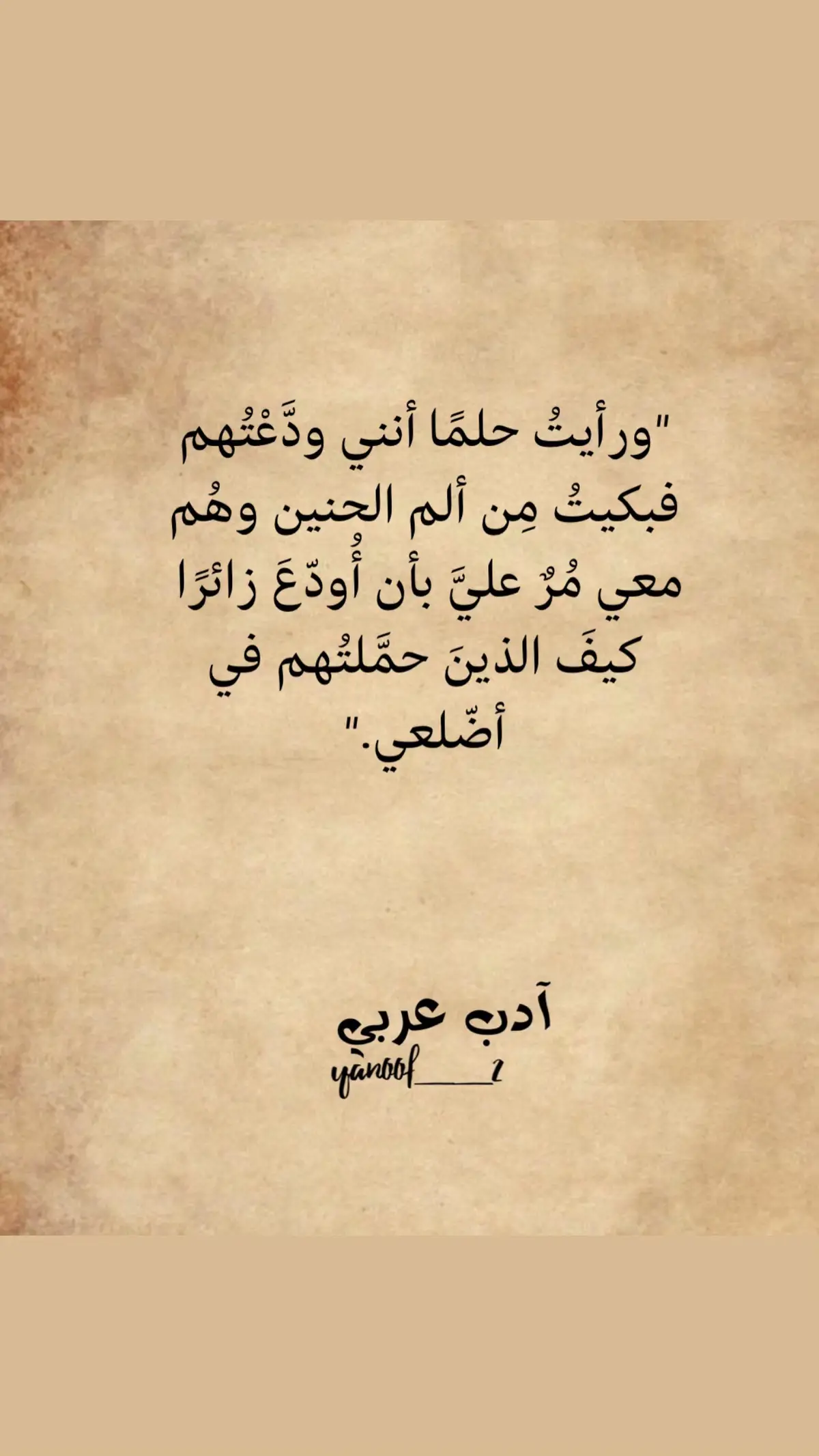 #أبيات_من_الشعر #أدب_عربي #تيك_توك 