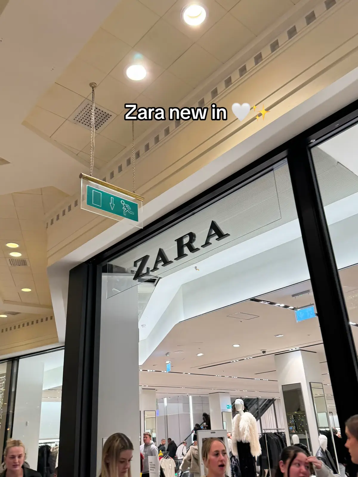 #zara #zarahaul #zaraoutfit #zaranewin #zaradress #shopping #christmas #fashiontiktok #fashioninspo #comeshopwithme #partywear #outfitinspo #outfitideas #fyp #foryoupage @ZARA 