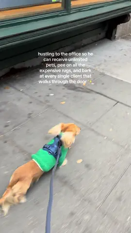 aka his favorite place on earth and yes, he is employee of the month every single month tyvm