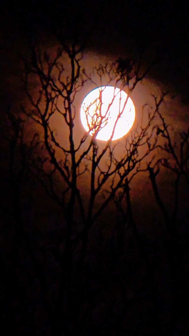 #moon #moonknight #🌚 #moonlovers 