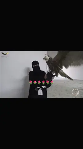 حلوااا بذا القباال و مرححبااااا ثم مرحبا🌷🌷. @﮼ريف 🪶 • #ريف_سفر #ريف_حمود #صقاقير_الخليج #نادي_الصقور_السعودي #مسابقة_نادي_الصقور_السعودي #explorer #fyyyyyyyyyyyyyyyy #fyp #مالي_خلق_احط_هاشتاقات #الشعب_الصيني_ماله_حل😂😂 #foryou #تيك_توك #تيك #اكسبلورexplore #fypシ #اكسبلور؟ #السعوديه 