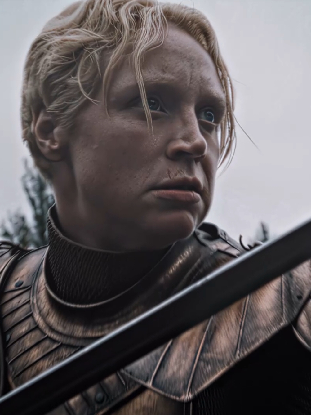 brienne of the kingsguard #brienneoftarth #brienneoftarthedit #foryou #edit #got 