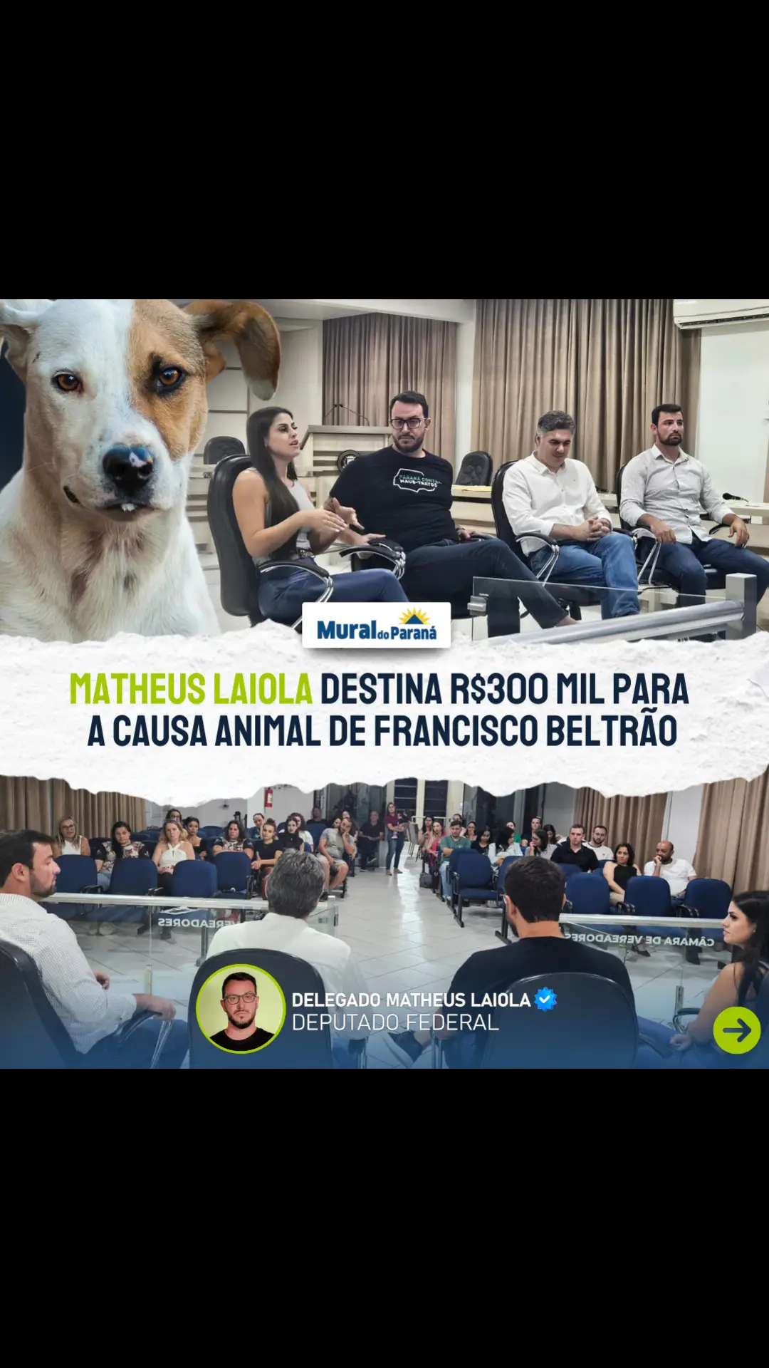 Destinei R$ 300 mil para fortalecer a causa animal em Francisco Beltrão, sudoeste do Paraná. Este valor já caiu na conta da Prefeitura e será crucial na promoção da saúde e bem-estar dos animais do município. Nosso trabalho não para!