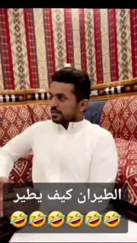 ابو كريشه