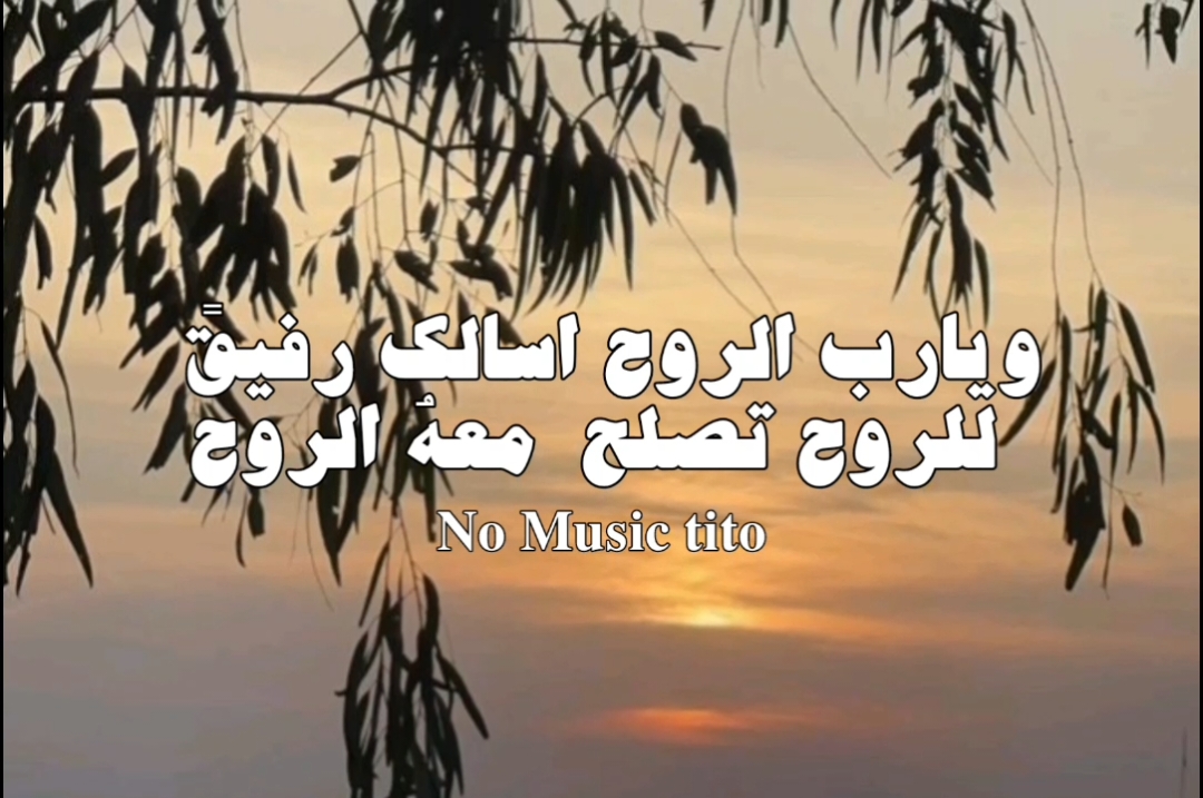 حساب للمستمعين بدون موسيقى 🤎 #اغاني_بدون_موسيقى #no_music_tito♡ #fyp #الرتش_فى_زمه_الله #ترند 