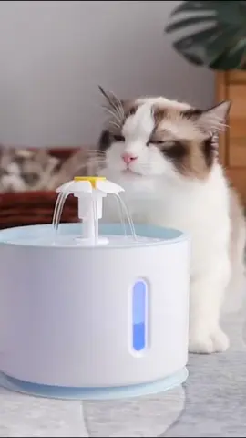 🐱💦¿Tu gatito se la pasa en el bidet o debajo de la canilla? Claro, ellos aman, por naturaleza, tomar de aguas en movimientos. 💦 El agua corriente de la fuente de agua para gatos SmartCat, atrae la atención de su mascota y hace que beber sea más divertido. Simula el agua de manantial , lo que hace que su mascota esté más fresca y ya no odie beber agua. 😃La bomba es muy silenciosa. incluso cuando se coloca en el dormitorio, no afectará la calidad del sueño. Amigable con niños, ancianos, madres y personas sensibles a sonidos.  ¡Tu gato lo merece y tú lo agradecerás! 🐱❤️ Conseguila en nuestra tienda online BuenShop.com  #BuenShop #petlovers #mascotasargentina #comunidadgatera #catstagram #bebederoautomatico #productosparagatos #gatossanos #petproducts #innovacionfelina #cuidadodemascotas #hidratacionfelina #vidadegato #catcare #mascotafeliz