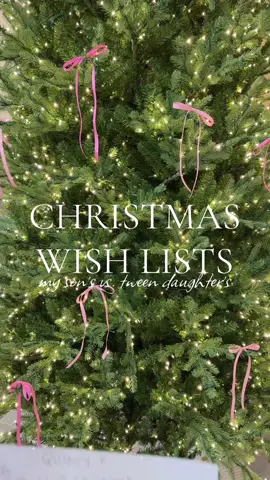 It’s the organization of the price point categories for me 🫣🤣 #christmaslist #dearsanta #christmastiktok #christmas #kidsoftiktok #MomsofTikTok #momtok 