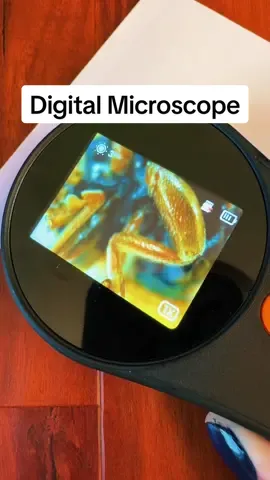 What would you want to see 500X closer?! 🔍#microscope #magnifyingglass #Science #giftideas #tiktokshopcybermonday #tiktokshopblackfriday 