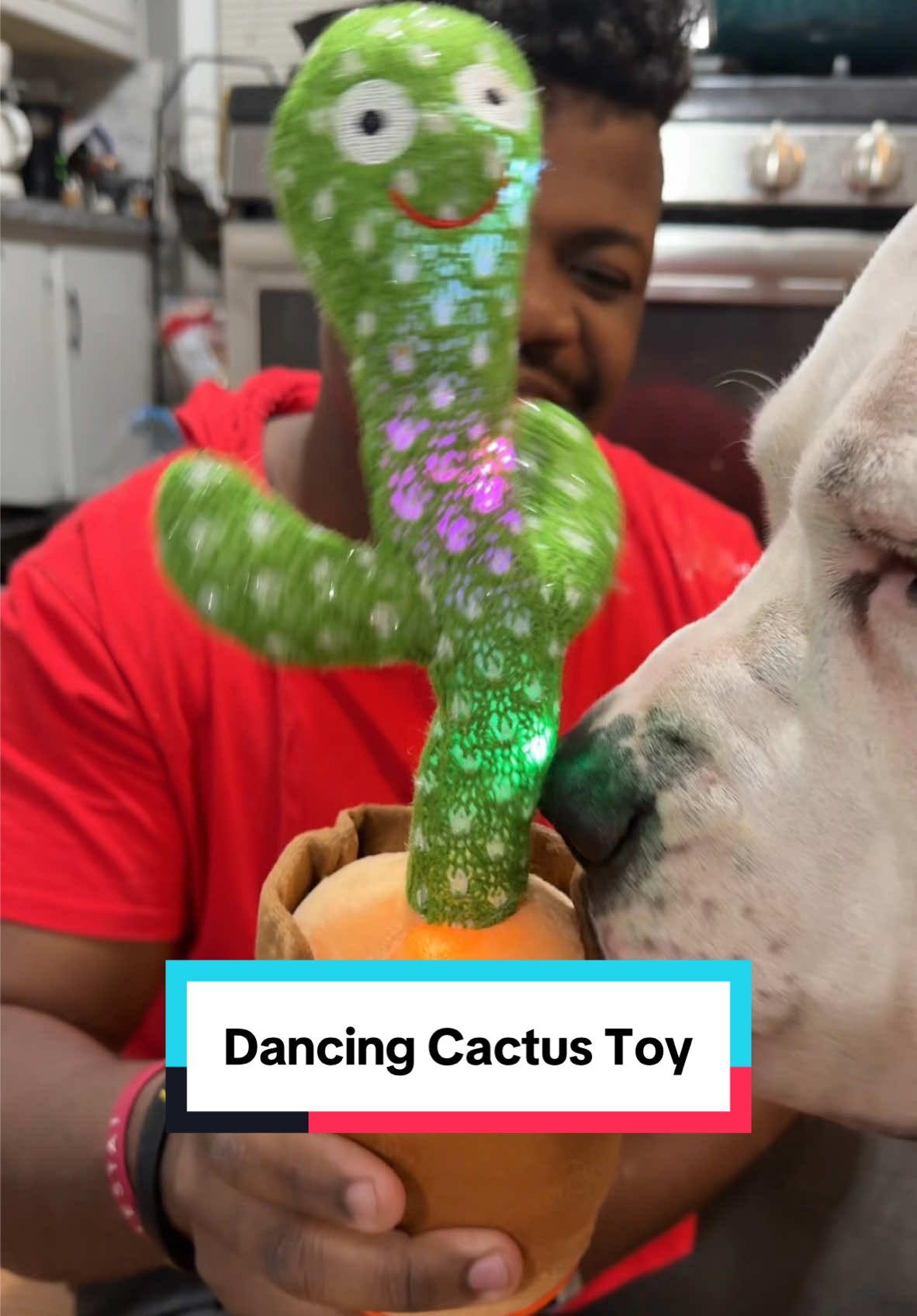 Dogs love this toy so much. It’s the perfect gift. #puppy #dogsoftiktok #dogoargentino #canecorso #pitbull #pittie #pitbullsoftiktok #pittiesoftiktok #cactustoy #funnydog #fyp 