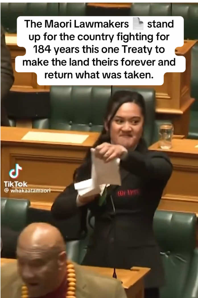 New Zealand's Parliament: 🪷 The Maori Lawmakers 📄 stand up for the country fighting for 184 years this one Treaty to make the land theirs forever and return what was taken.  Now 184 years 🕊️ later the House of Representatives wants to throw the bill out. Denying all the things they were promised and fought for 2 war terms.  They stood 😢 up together as one after they were asked how do they vote “ Haka” sounds of pain and terror.#greenscreenvideo 