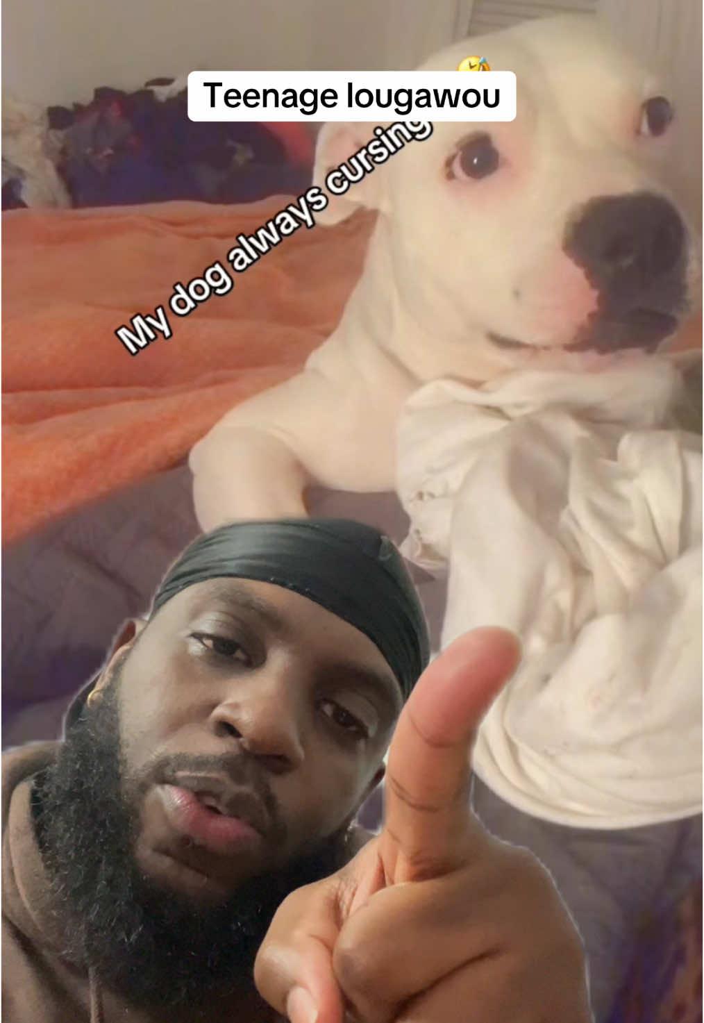 Lougawou going through puberty 😂 #haitiancomedy #lougawou #PetsOfTikTok #dogsoftiktok #doggo #guesstheplayer 