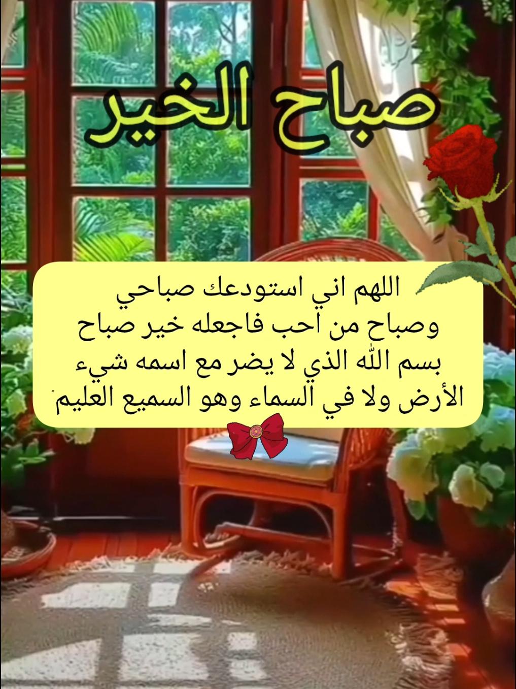 #دعاء_الصباح #دعاء #دعاء_جميل #اللهم_امين #دعاء_يريح_القلوب #يارب #اللهم_امين_يارب_العالمين #يارب🤲 #صباحكم_سعادة_لاتنتهي #صباحكم_أحلى_صباح #صباح_الخير #صباح #بغداد_العراق🇮🇶 #بغداد #العراق #bagdad #تونس_المغرب_الجزائر #بغداد_العراق #الجزائر #مصر🇪🇬 #bagdad❤️ #جبر_الخواطر #امين_يارب #دعاء_الصباح #بغداد_العراق🇮🇶 #muslim #islam #foryoupage #fypppppppppppppppppppppp #foryoupage #fyp #اكسبلور #foryourpage #صباح_الورد #صباح_الخير #دعاء_الصباح #الجميل 