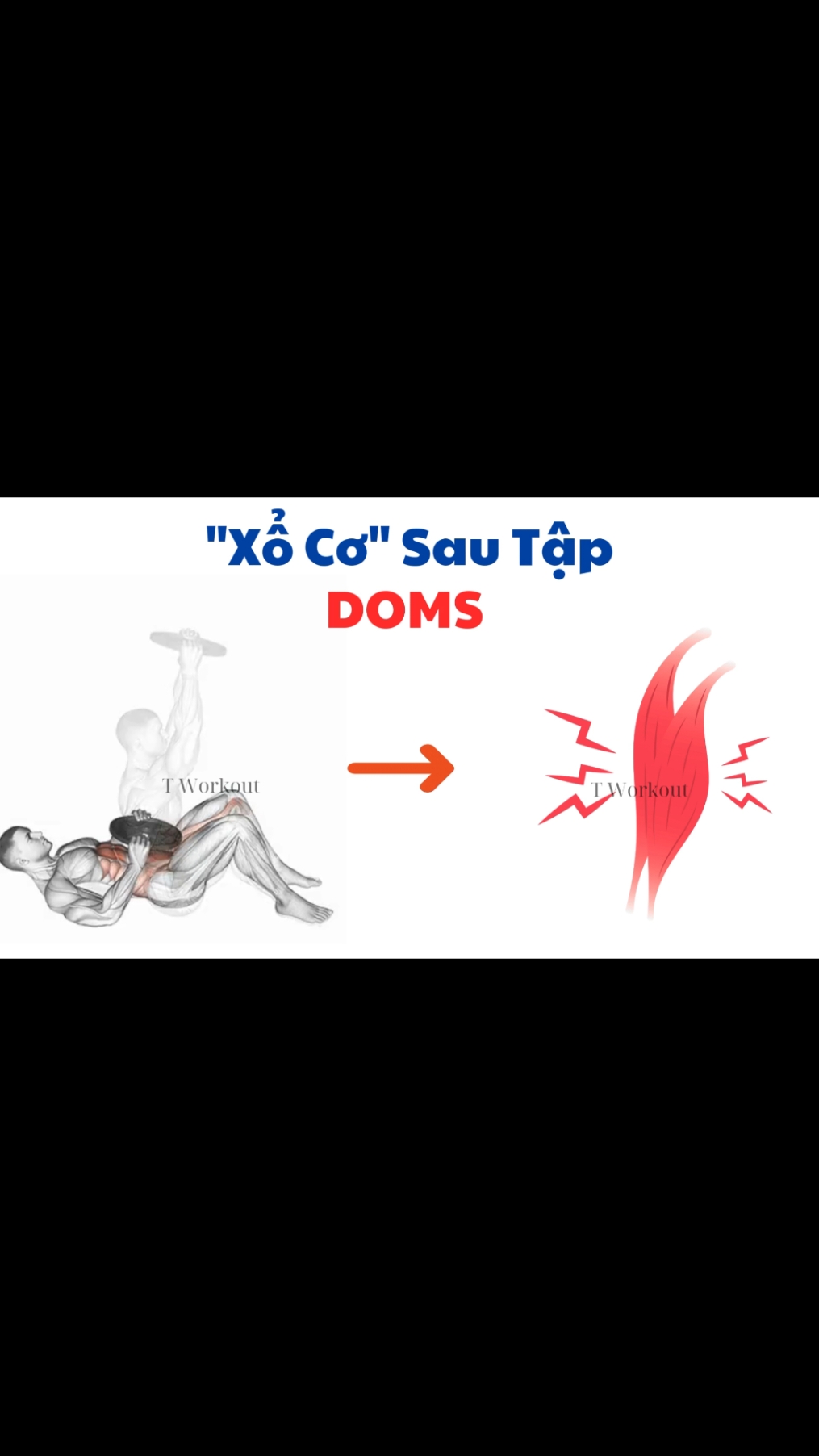 Đau cơ sau tập (DOMS) P4. #calisthenics #gym #Tworkout 