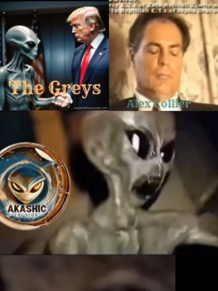 Andromedans Contactee - Alex Collier : The Greys #ufo #aliens #onvis #ufology #ufosighting #alien #alienbff #alienencounter #alieninvasion #alienabduction #galacticfederation #nasa #spacex #elonmusk #nibiru #uap #nhi #uso #ufo #higherintelligence #interdimensionalbeing #houseoversightcommittee #usnews #luiselizondo #luna #alien #projectbluebeam #ufos #uaptiktok #aliens #ufo #ET #uap #rihanna #reptilian #omg #shock #shockingvideo #omg #horror #creepy #mistery #fake #tiktokusa #joke #usa #fyp #foryou #paranormalactivity #paranormaltiktok #shapeshifter #reptilian #draco#horrirtok #scary#aliens#ufo#fyp #trending #viralvideo