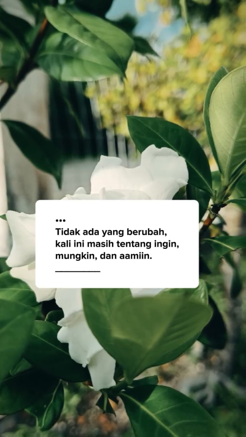 #CapCut #katabijak #daily #trending #qoutesstorywa #qoutes #bismillahfyp #storytime #snapwa #semangat #status #viraltiktok #padahariini #trend #viral #reminder #katakatamotivasi #fyp #storywa #katakatabijak 