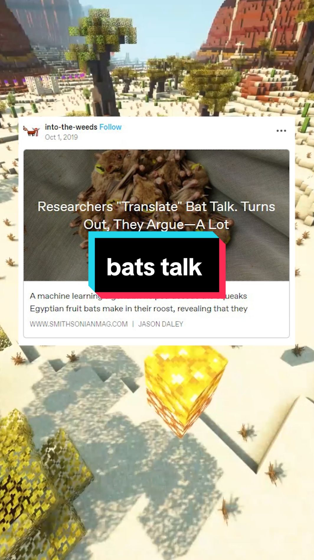 bats talk! 🦇🗣️ #reddit #twitter #tumblr #qna #story #storytime #bat #talk #batman #animal #animals #funfacts #fact #interesting 