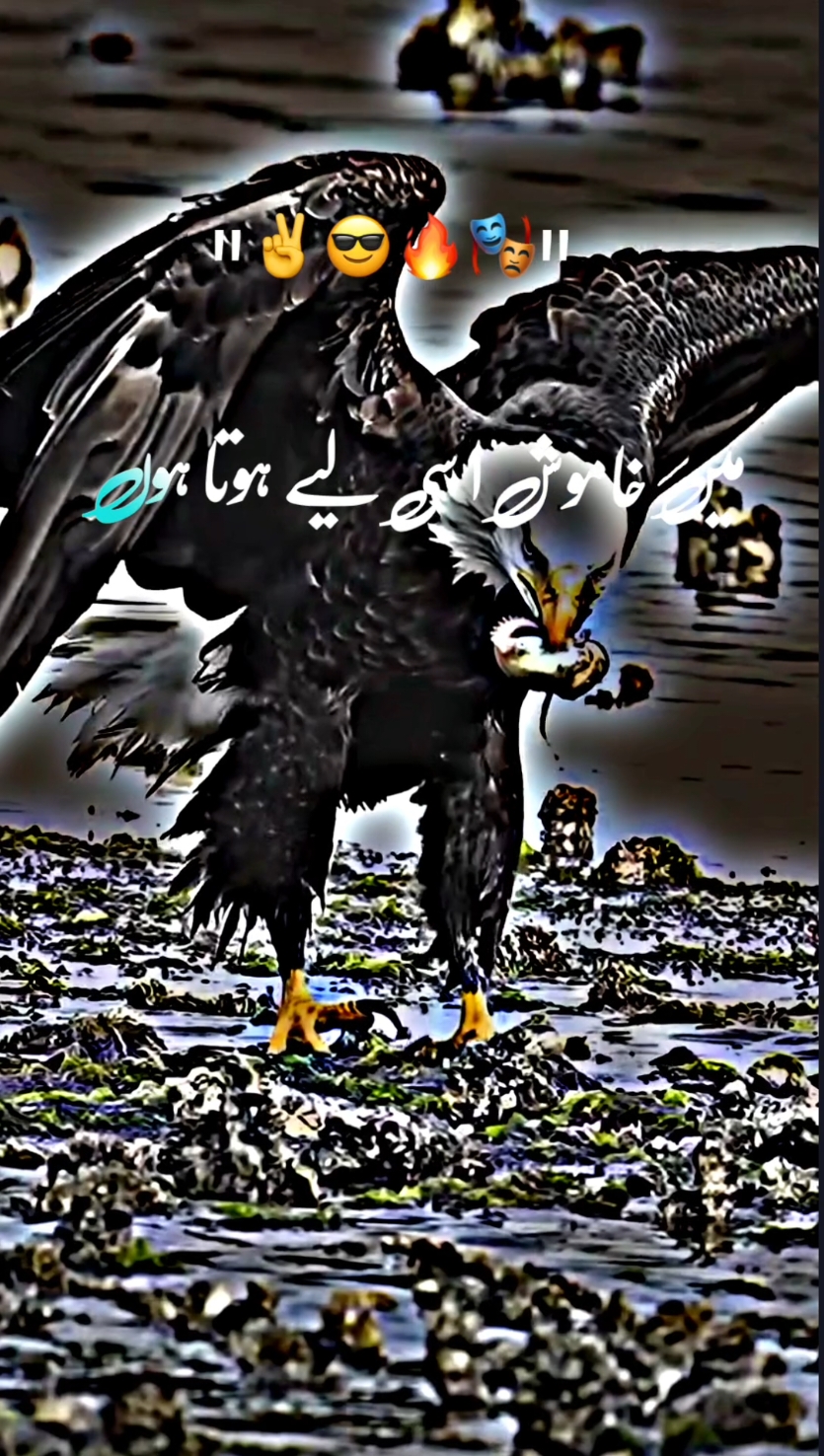 میرے خاموش رہنے پر 😡💯🔥#foryoupage #🖇️✨🥀💔# #standwithkashmir #fyp #a #500k#poetrystatus #viralmyvideoplztiktok #whatsappstatus #goviral#NotYourAffan#500k 