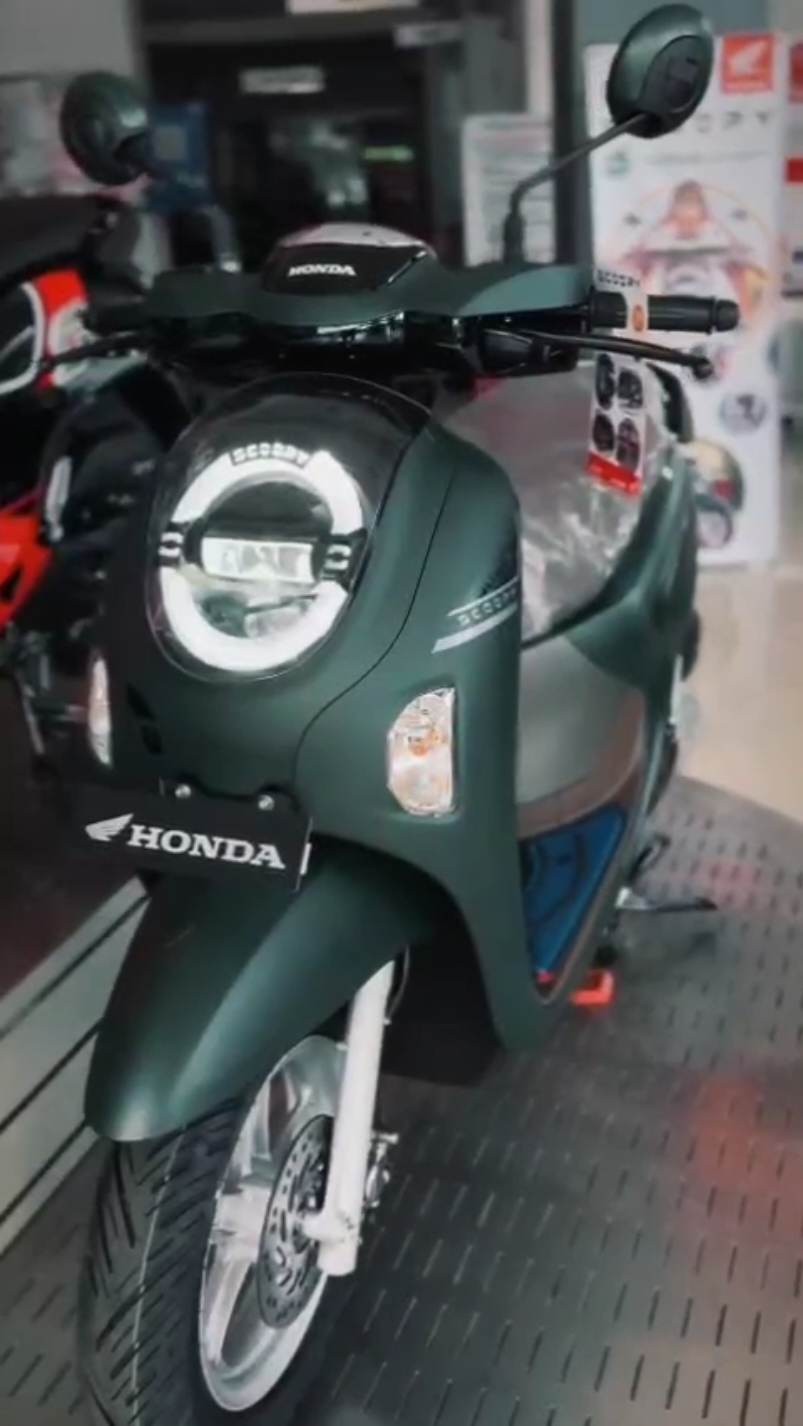 Scoopy StyliSh green 🤩 #hondascoopy #scooopystylish #fyp #fypage #fypシ゚  #CapCut 