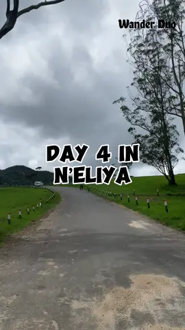 Day 4 in Nuwaraeliya #nuwaraeliya #budgettour #budgettrip #visitsrilanka #wheretovisit #wanderduo #travelsrilanka #neliya #WhereToEat #strawberryfarm #ambaals #wanderduoreview #traveltips #traveldestinations #tiktokvlog #discoverwithtiktok #abewela 
