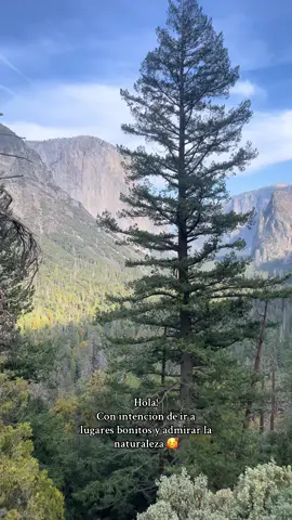 📍Yosemite 🌲🫶🏻🌳#yosemitenationalpark #yosemite #nature #california #fypシ #paratii #naturelover 