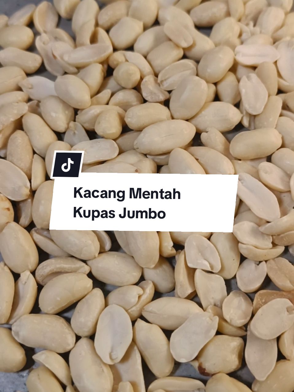 Rekomendasi Kacang Kupas Mentah Jumbo ❤️ Kacang Tuban #kacangkupas #kacangmentah #kacangtuban #cemilan #kacang 