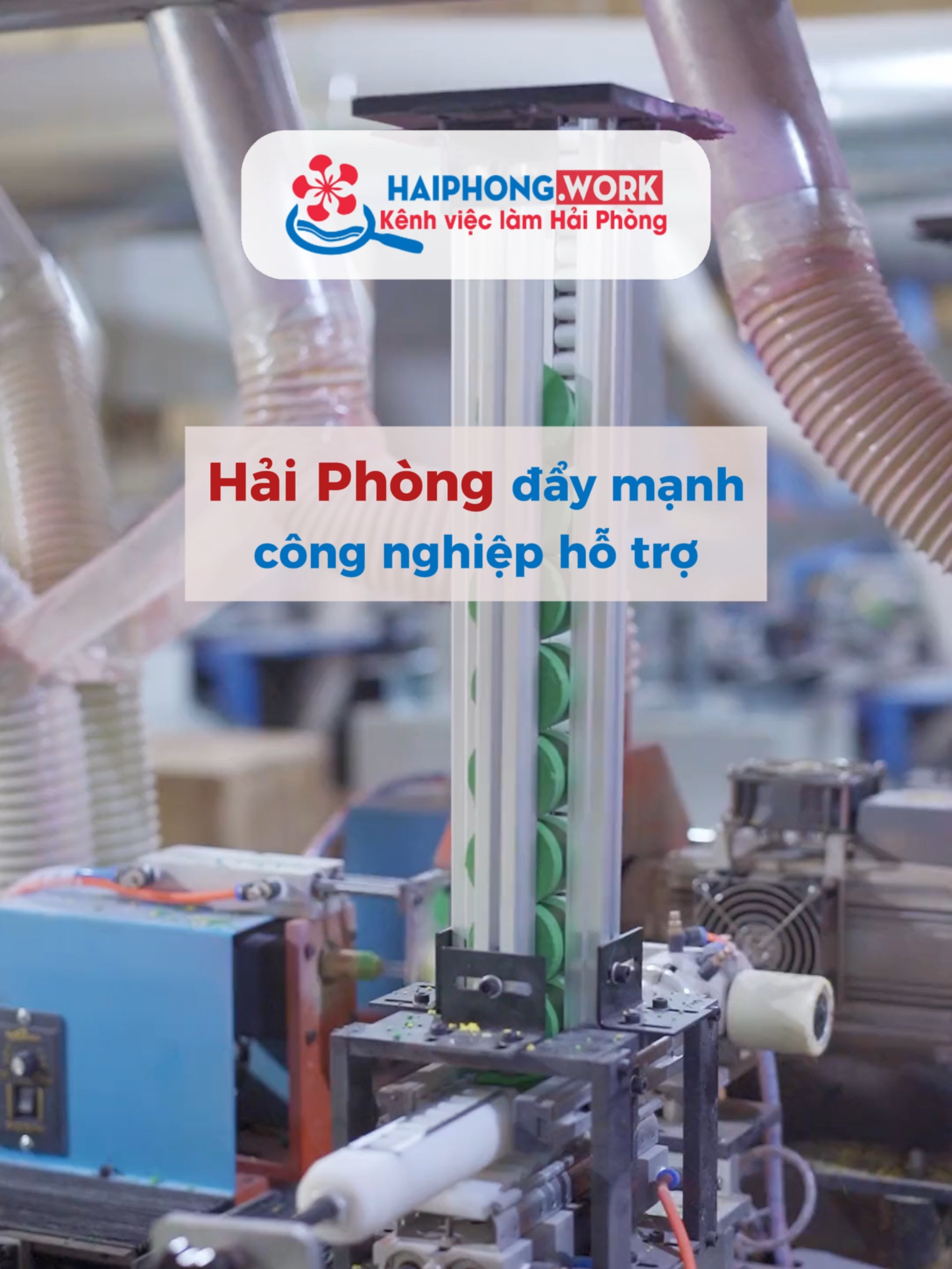 Hải Phòng: Ưu tiên phát triển công nghiệp hỗ trợ, đẩy mạnh sản xuất công nghiệp. Mở ra nhiều cơ hội việc làm mới cho người lao động! #haiphongwork #haiphong #tuyendung #timvieclam #vieclamhaiphong