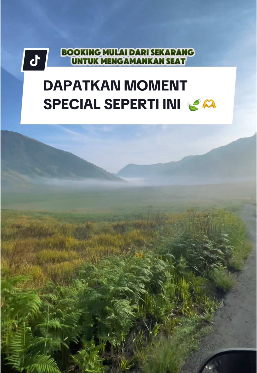 Kalau kamu berkunjung ke bromo di bulan november-januari 🫶🫶  Jangan lewatkan moment special seperti ini  Yuk booking tripnya mulai dari sekarang  Tersedia paket opentrip & privatetrip ✅  More info klik link BIO   #jasatripmalang #travelmalang #wisatajawatimur #liburanmalang #liburanakhirtahun #ranuregulo #bromotenggersemeru #tripbromo #opentripbromo #travelbromo #fotograferbromo 