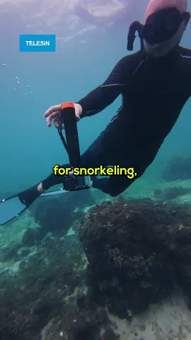 Looking for a trustworthy floating underwater selfie stick that doubles as a tripod? Get the Telesin Buoyant Tripod Selfie Stick now! Telesin Buoyant Tripod Selfie Stick: https://www.telesinstore.com/collections/go-swimming/products/telesin-floating-tripod-selfie-stick 🐬Join TELESIN’s Dolphin Adoption Campaign!🐬 https://www.instagram.com/p/DB0hgovOhpS/ From November 1 to November 30, support ocean conservation with TELESIN! Inspired by the Pacific Whale Foundation’s efforts, we’re symbolically adopting a dolphin to protect marine life. Here’s how you can help: 1，Participate: Buy any water-related product from our store, and we’ll donate $1 per purchase. 2，Goal: We aim to raise $750. If we don’t reach it, TELESIN will cover the remaining amount. 3，Progress Updates: Follow our journey and meet the adopted dolphin once we reach our goal. 4，Exclusive Gift: All participants will receive a special mystery gift! Together, let’s make a positive impact on our oceans! Purchase Link: https://www.telesinstore.com/collections/go-swimming @TELESIN_Official  #telesin #PictureaBetterOcean #fyp #fypage #foryou #gopro #dji #freediving 