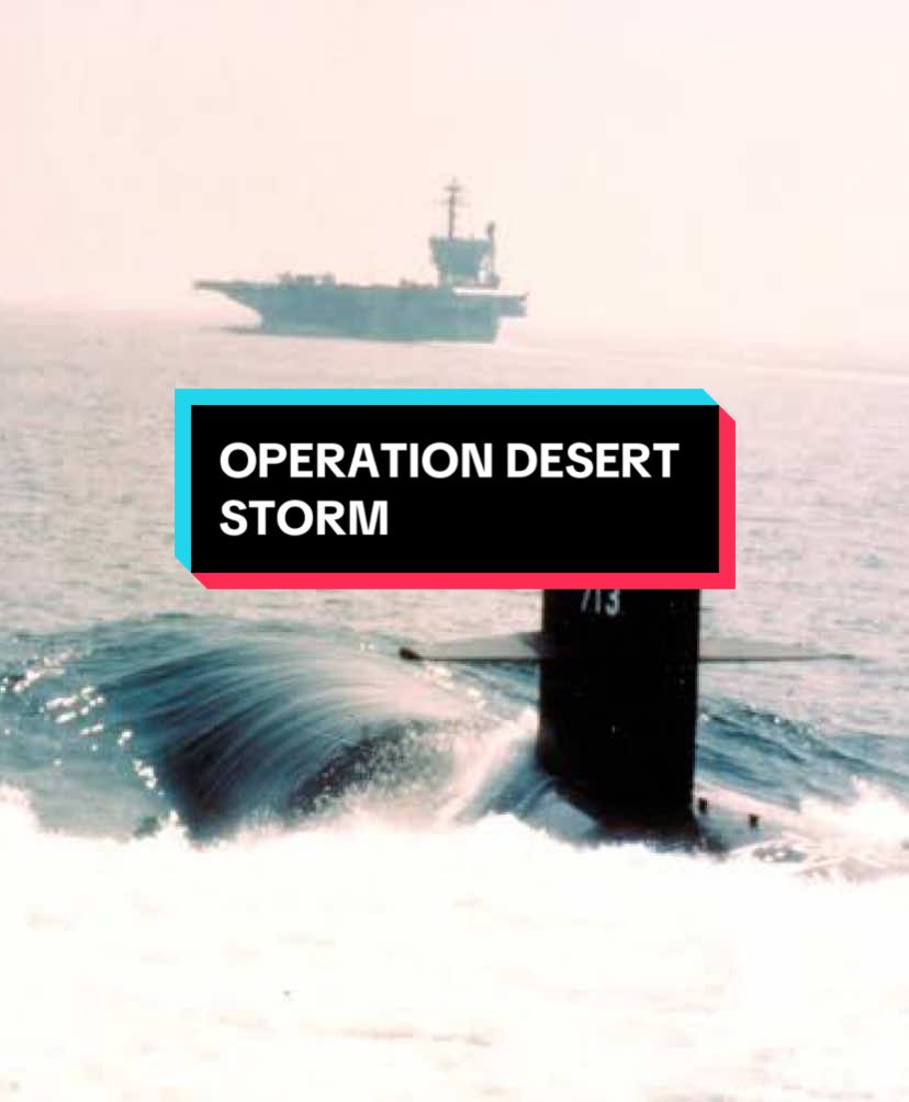 THE USNAVY 1991 OPERATION DESERT STORM🇺🇸🦅🦅🦅 #fyp #fypシ゚#ฟีต#ฟีดดดシ #operationdesertstorm#usnavy🇺🇸 