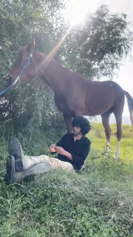 في حديقتي السريه #اكسبلورexplore #نجران #tiktok #خيل_وخياله🐎 #سبيستون 