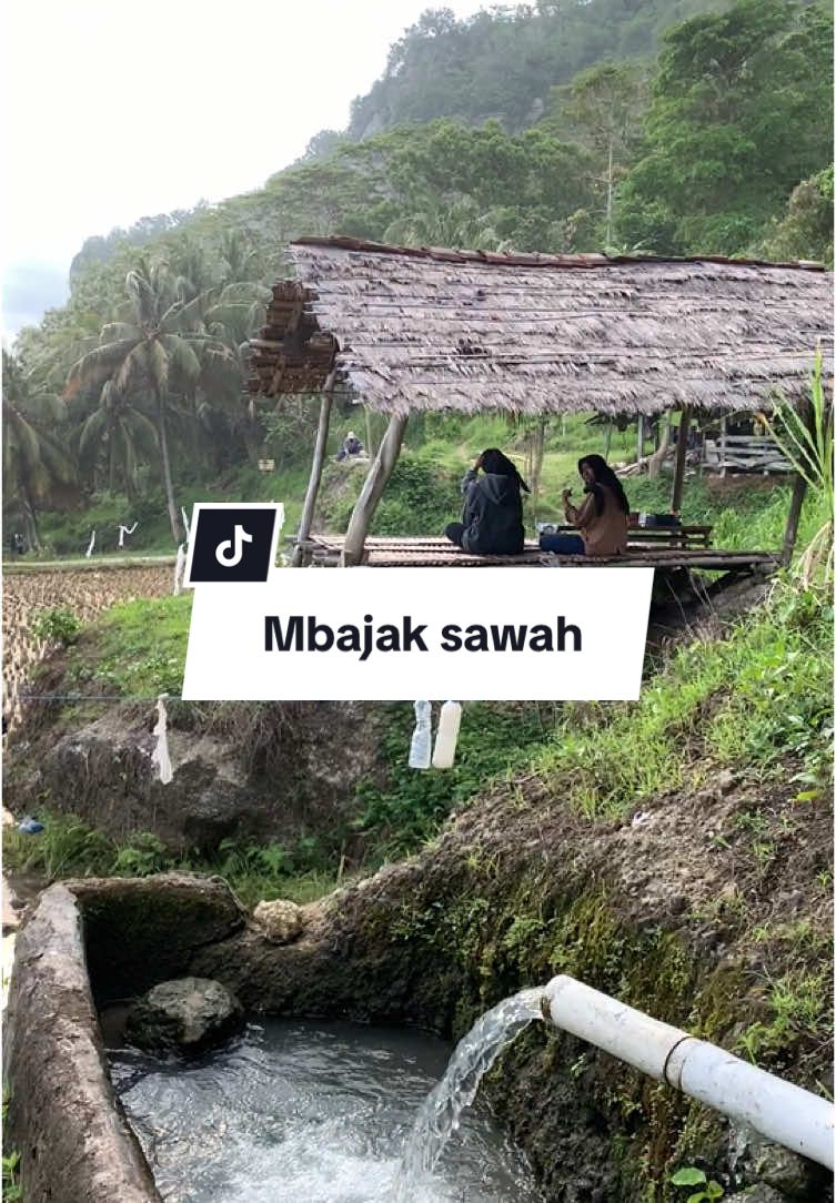 Bono kang bojone, njegadhul wae 🥴 #pangasanstory   #pantaipangasanpacitan 