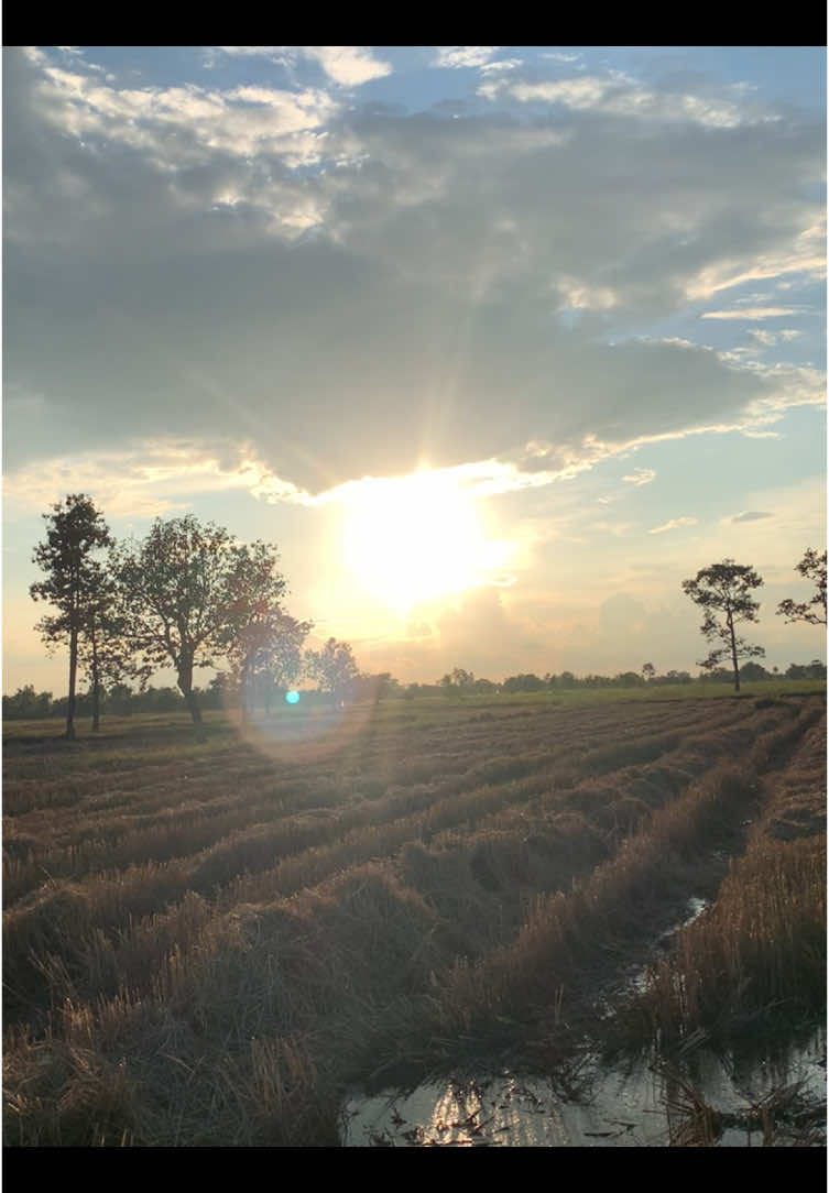 เห็นสภาพอ้ายแล้ววเเมนบ่#fyp #วิวบ้านนอก🍃 #ธรรมชาติ 