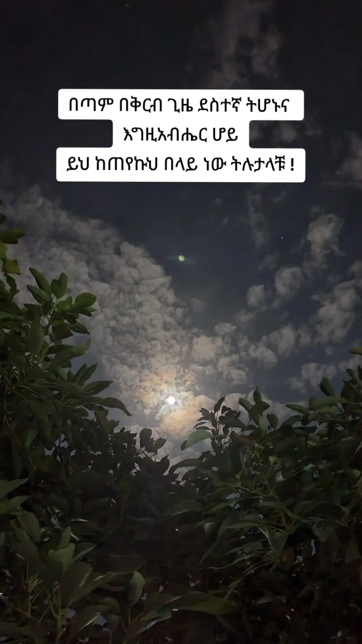 #ኦርቶዶክስ_ተዋህዶ_ፀንታ_ለዘለዓለም_ትኑር #onemillionaudition #ኦርቶዶክስ_ተዋህዶ_ፀንታ_ለዘለዓለም_ትኑር #viral_tik_tok 